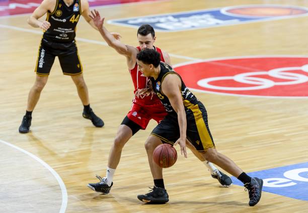 新认识了他 新认识了他